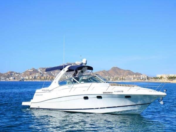 Yachts and Boats in Los Cabos